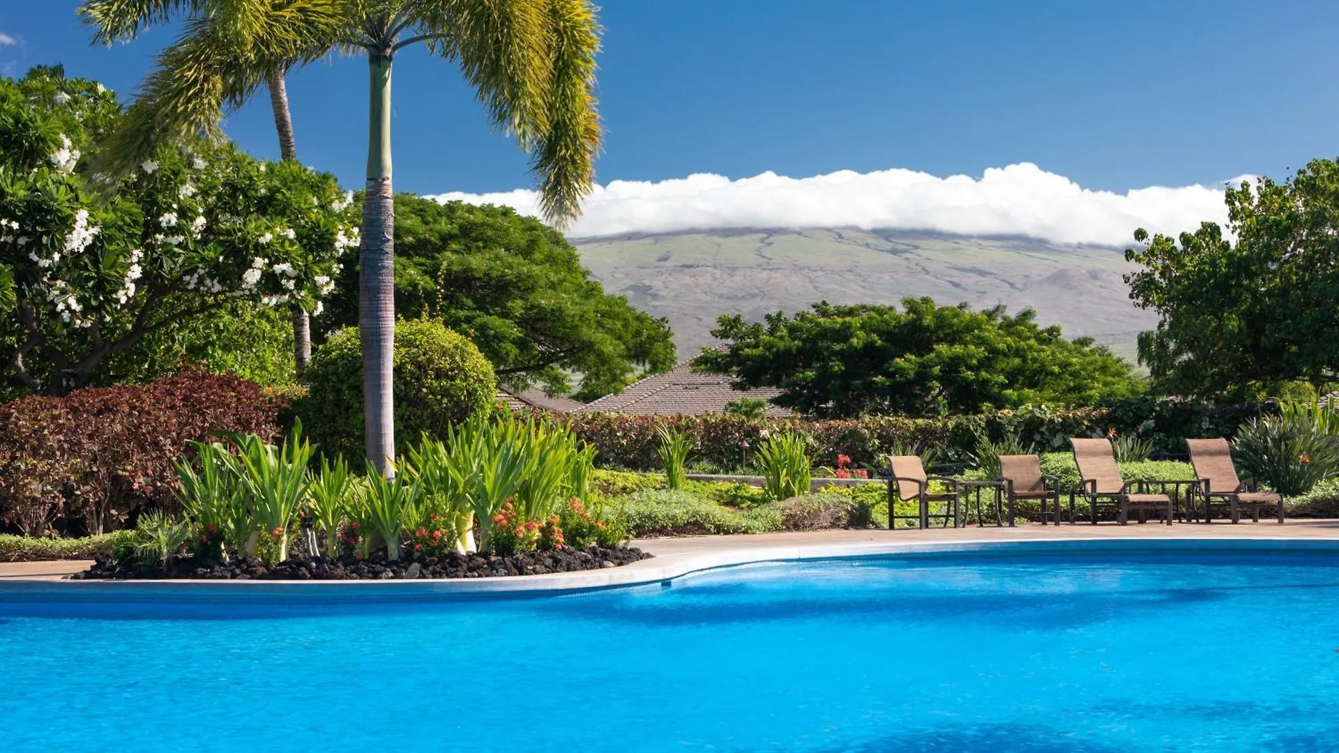 Semesterbostad Hale Ohonu Stylish 3Br Detached Home Close To Kamilo Pools Waikoloa USA
