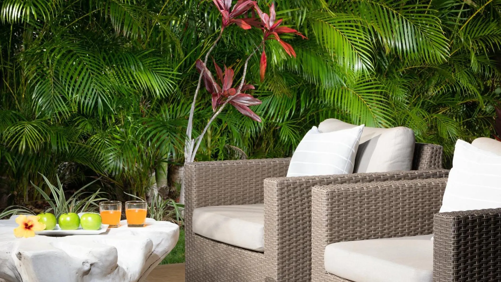 Hale Ohonu Stylish 3Br Detached Home Close To Kamilo Pools Waikoloa USA